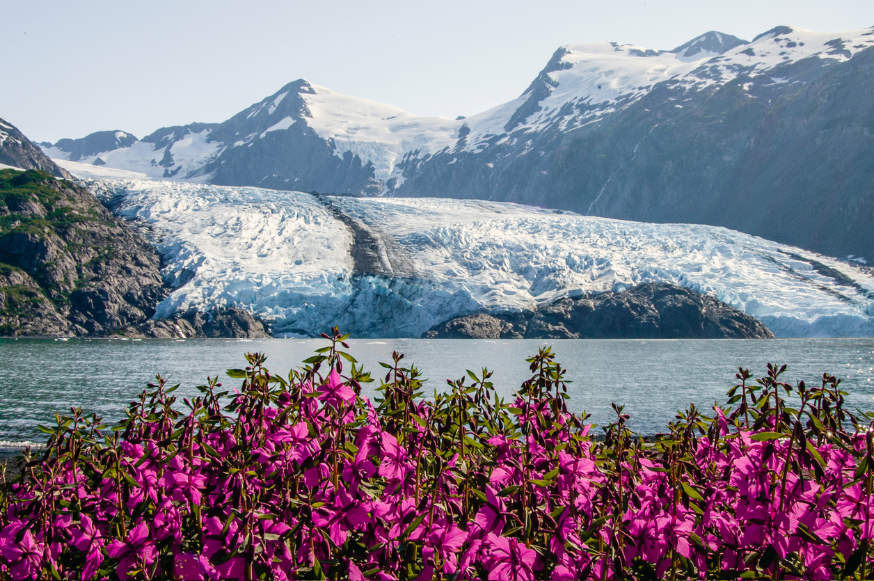 Whale and mountains in Alaskan waters