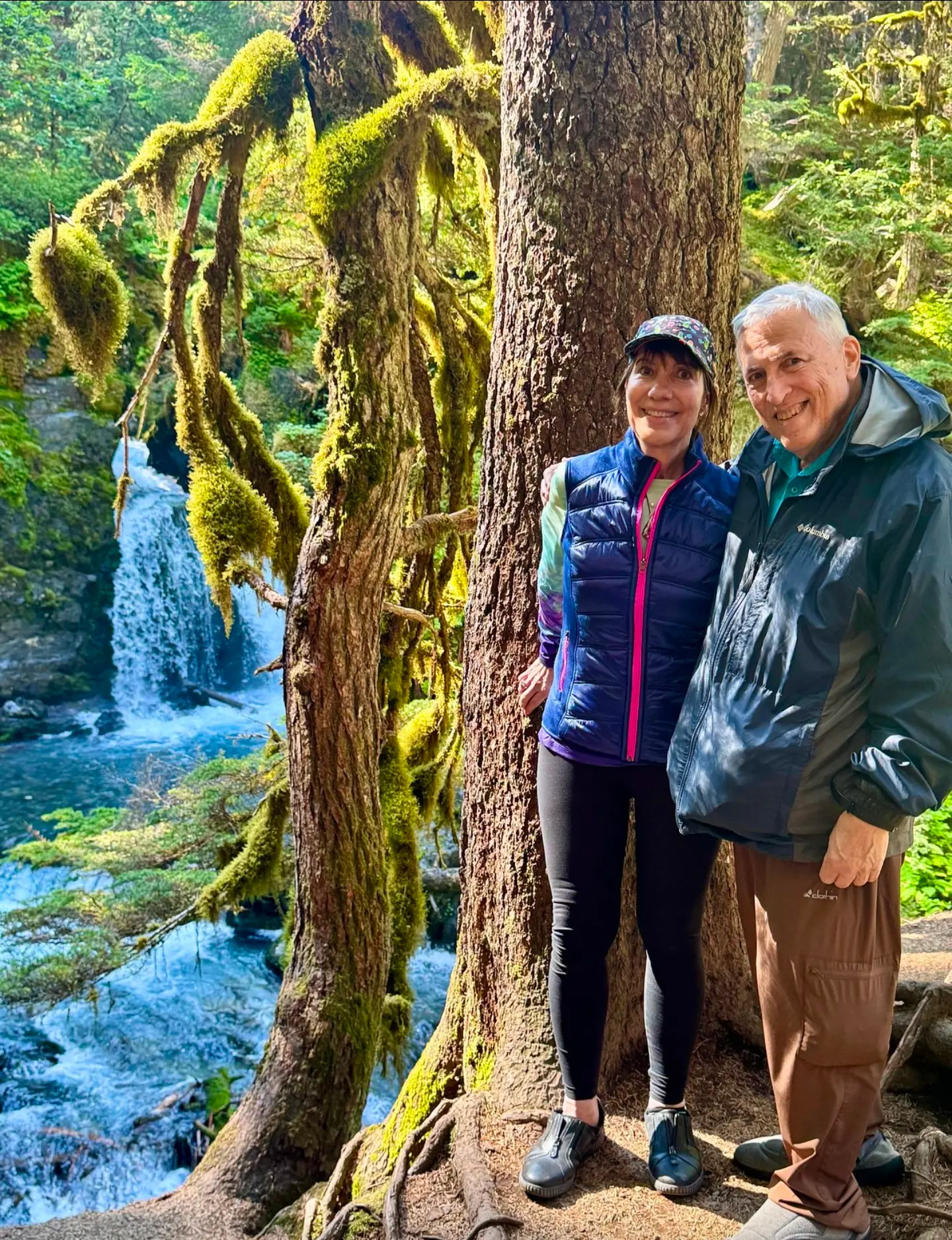 Guests beside a waterfall in a mossy rainforest
