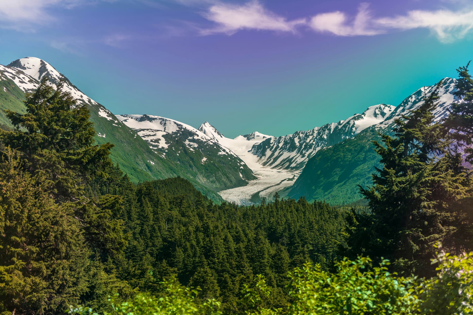 Glacier valley framed by spruce forest
