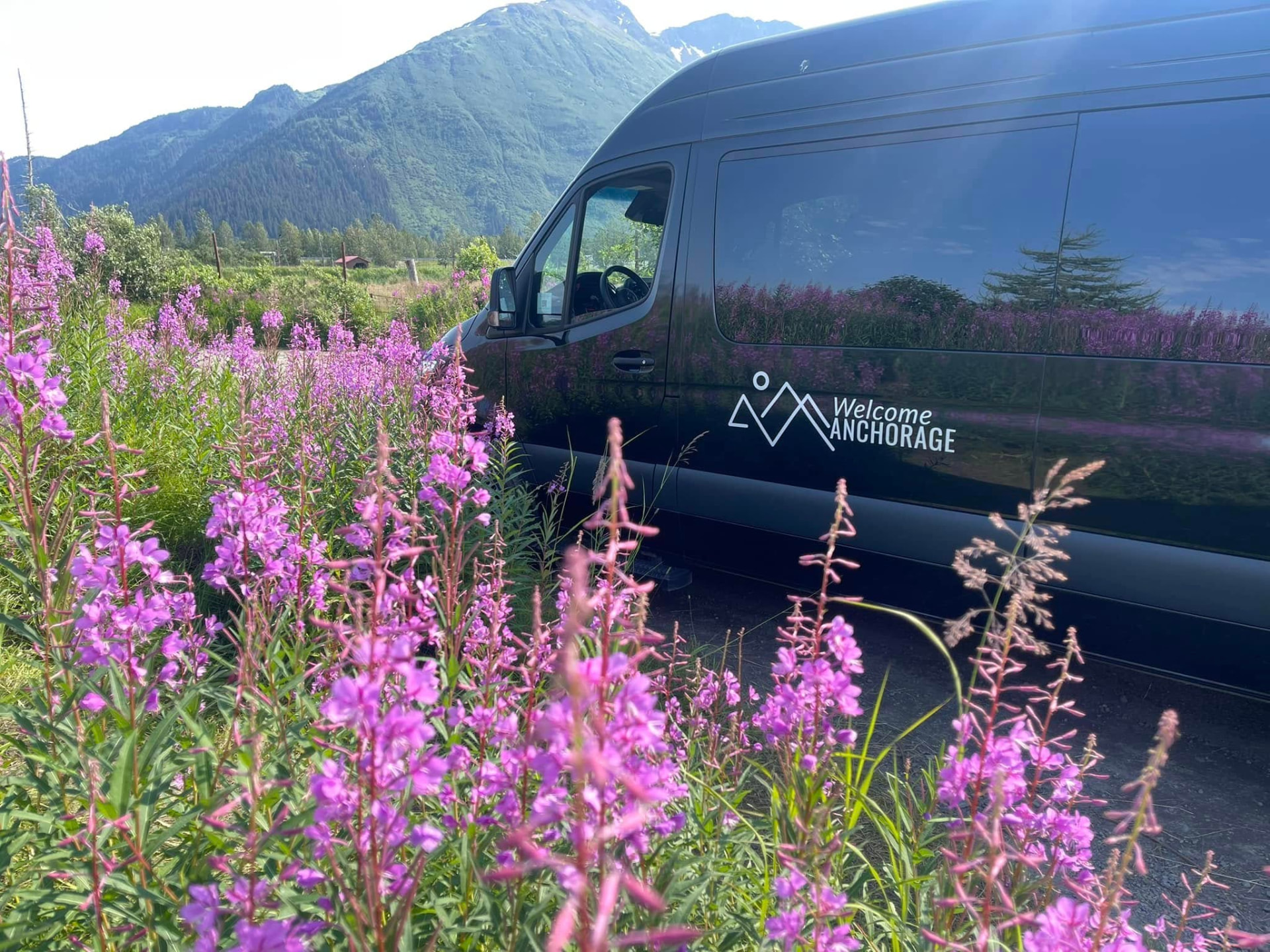 Welcome Anchorage van in Alaska fireweed