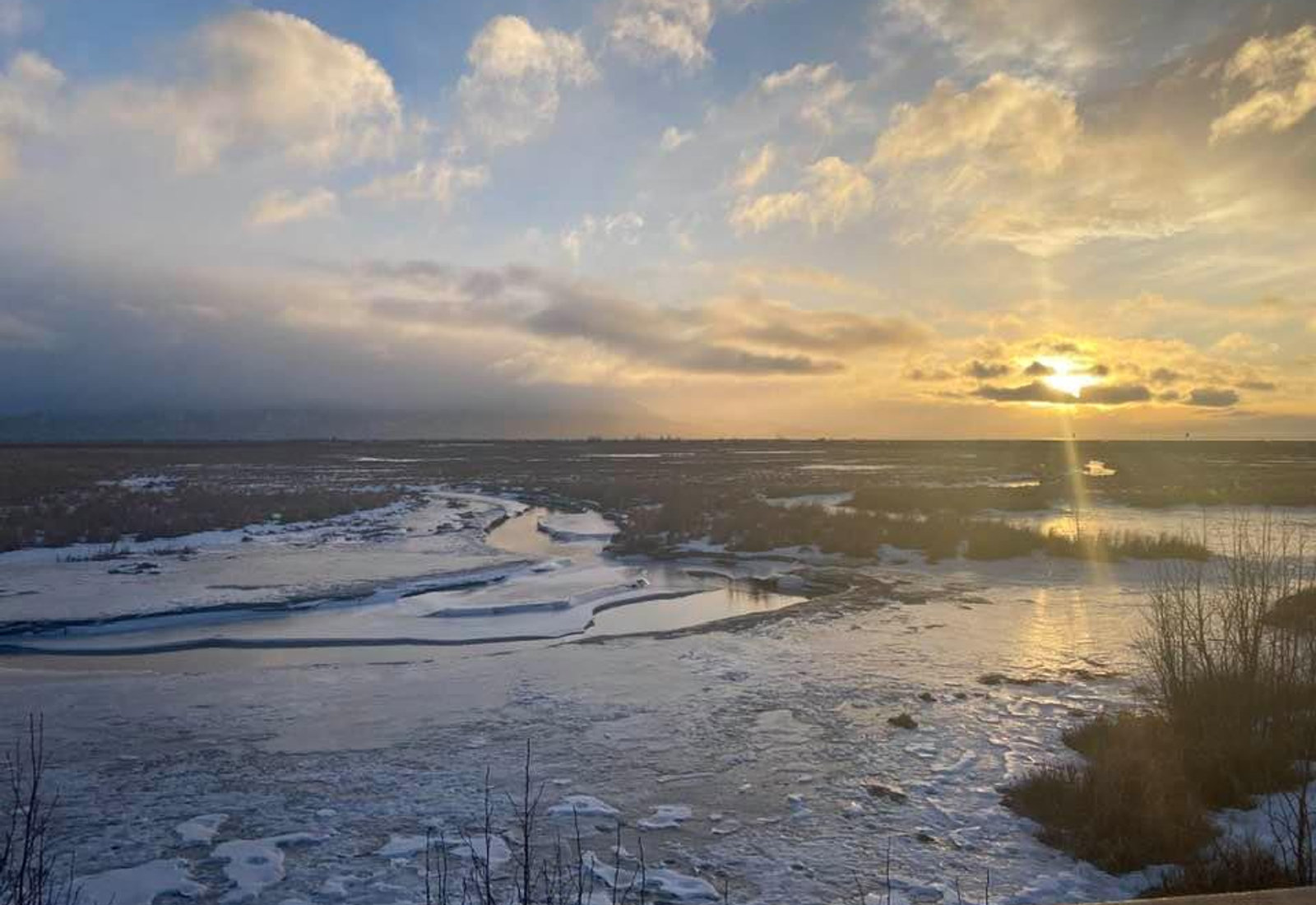 Your Ultimate Guide to Summer Travel in Anchorage, Alaska, including 7 of the best local day trips