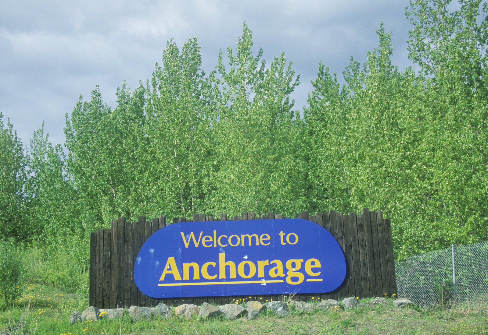 Your Ultimate Guide to Summer Travel in Anchorage, Alaska, including 7 of the best local day trips