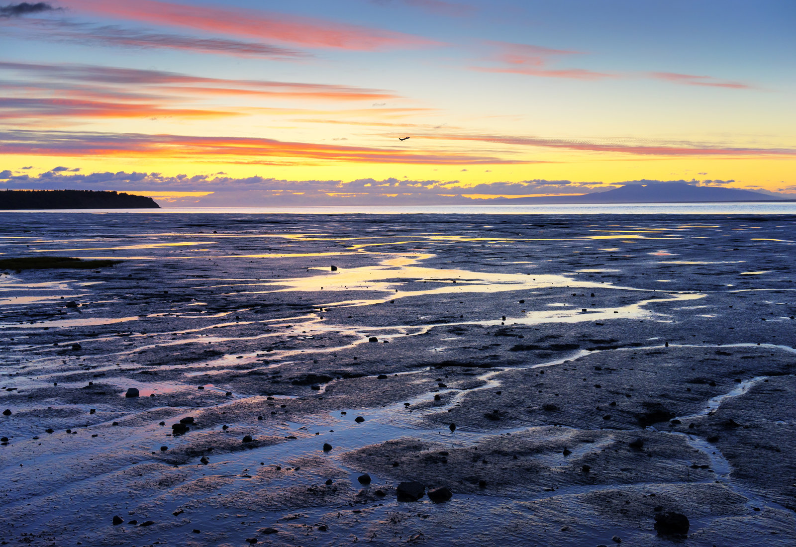 Your Ultimate Guide to Summer Travel in Anchorage, Alaska, including 7 of the best local day trips