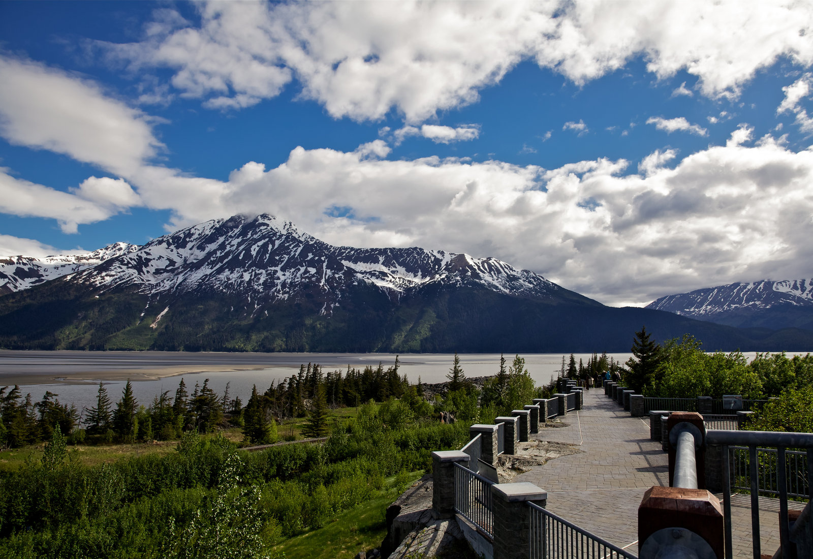 Experiencing Anchorage, Alaska in the Summer with a Private Tour Guide