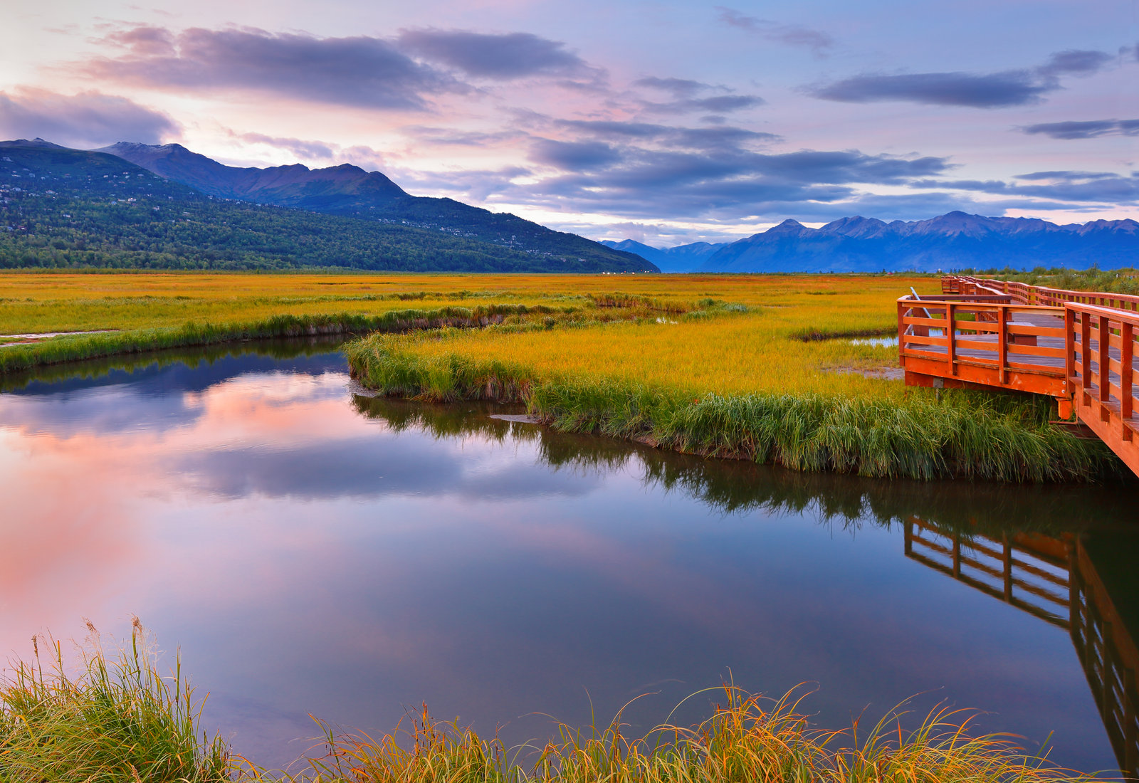 Experiencing Anchorage, Alaska in the Summer with a Private Tour Guide